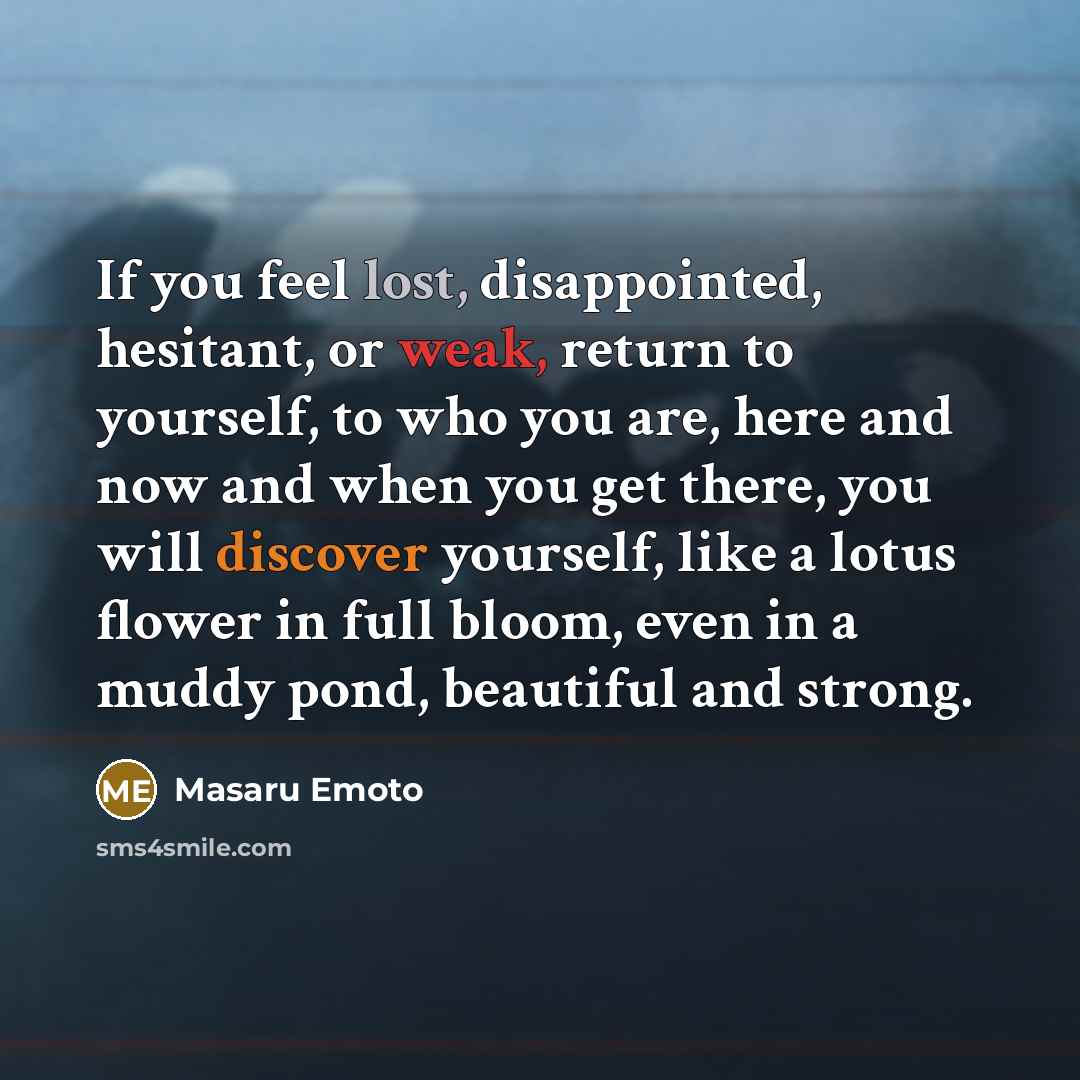 “If you feel lost, disappointed, hesitant, or weak, return to…” quote by Masaru Emoto