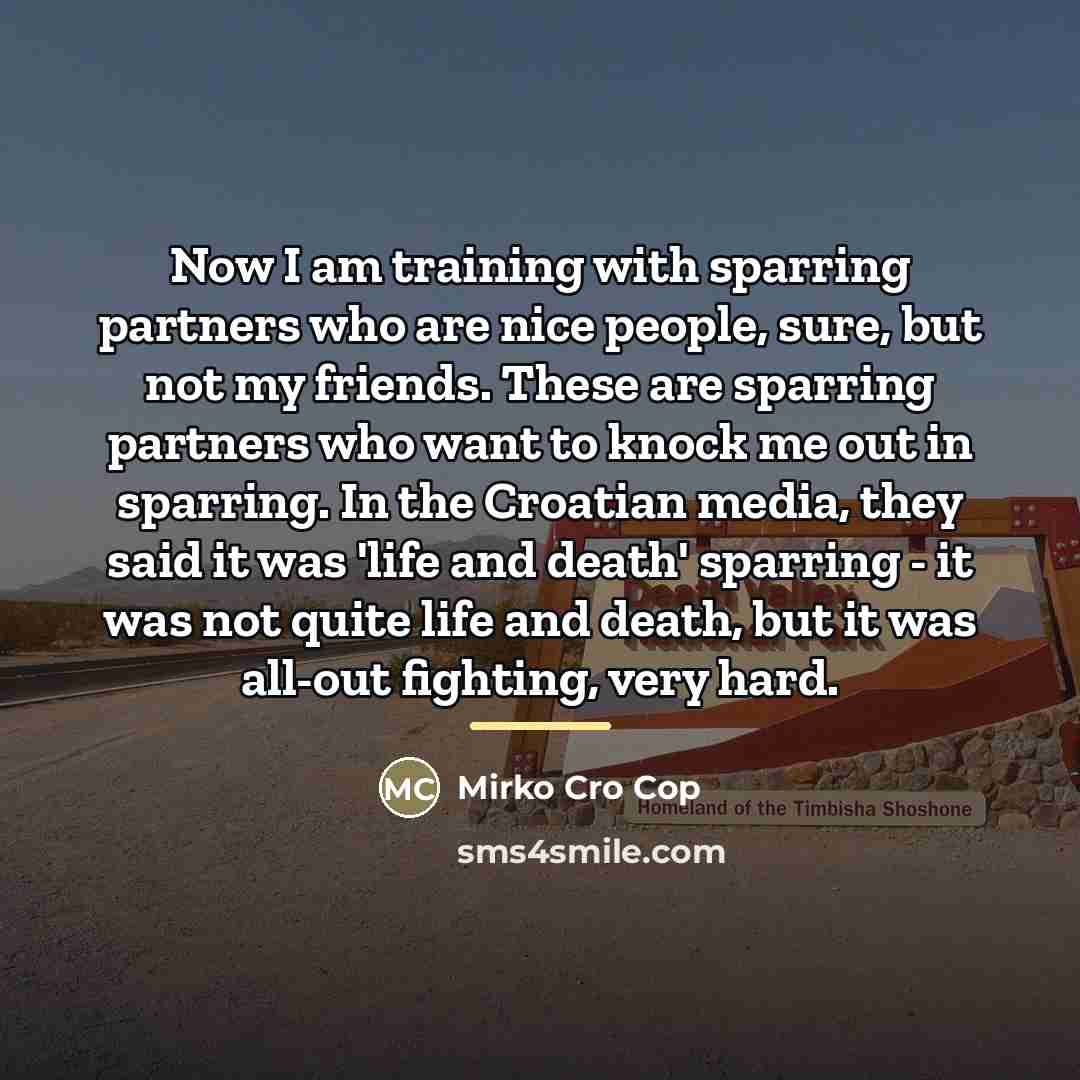 “Now I am training with sparring partners who are nice…” quote by Mirko Cro Cop