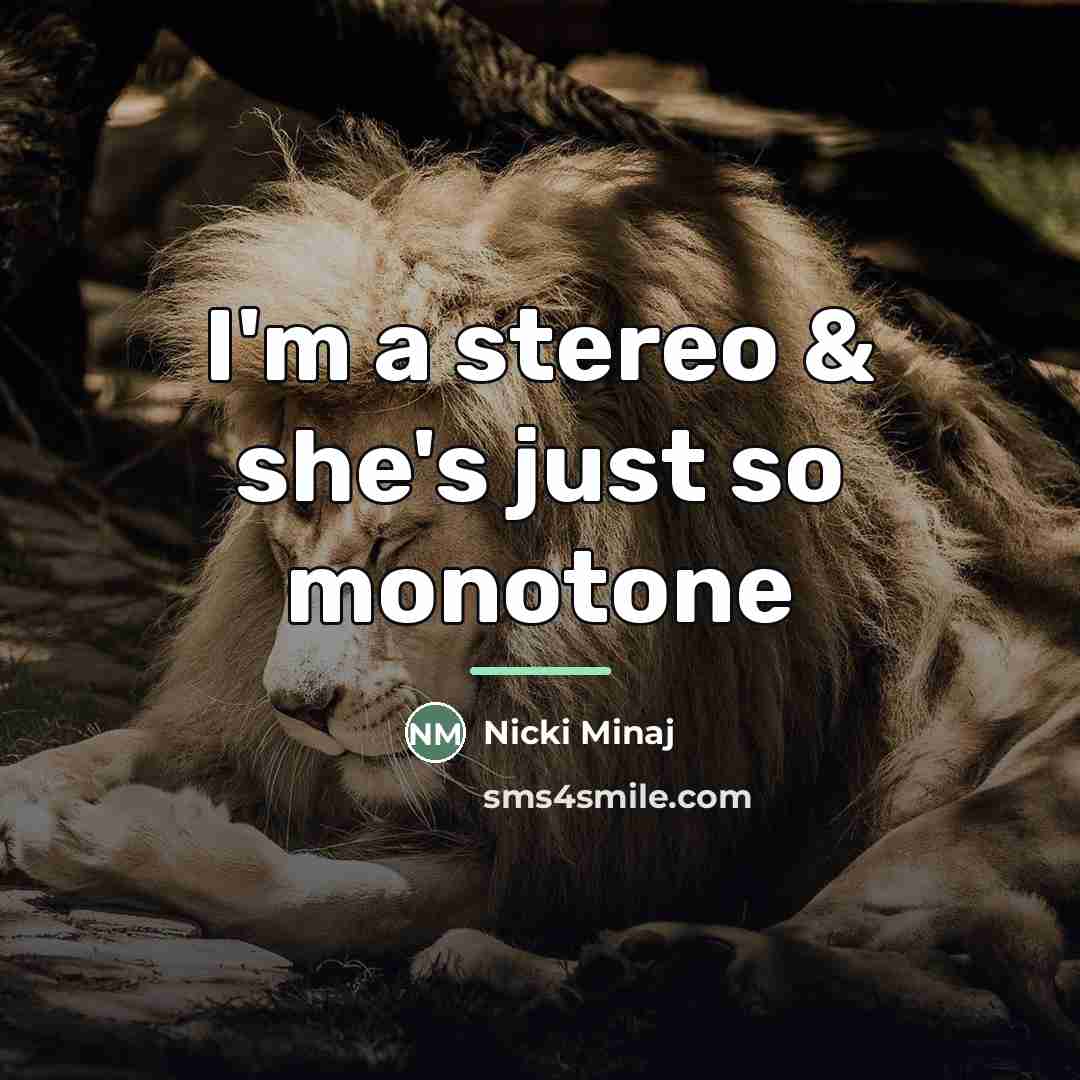 “I'm a stereo & she's just so monotone…” quote by Nicki Minaj