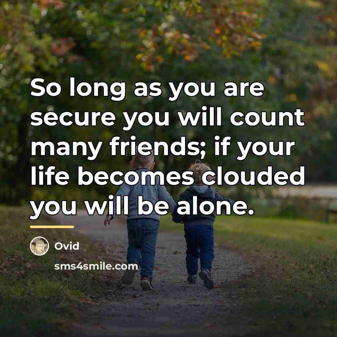 “So long as you are secure you will count many…” quote by Ovid