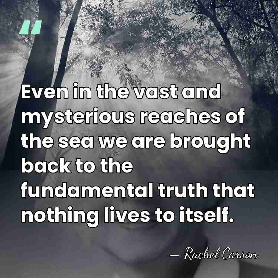 Even in the vast and mysterious reaches of the sea we are&hellip; - Rachel Carson