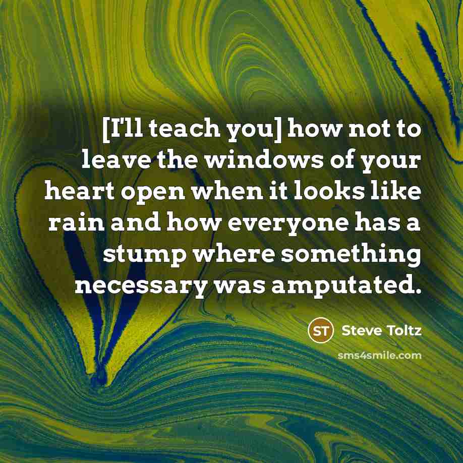 “[I'll teach you] how not to leave the windows of…” quote by Steve Toltz
