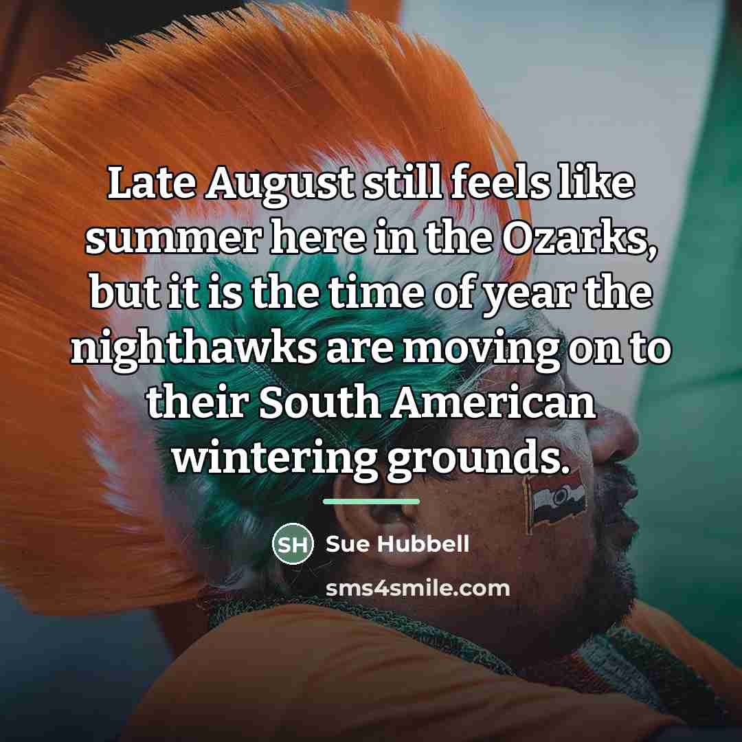 “Late August still feels like summer here in the Ozarks,…” quote by Sue Hubbell