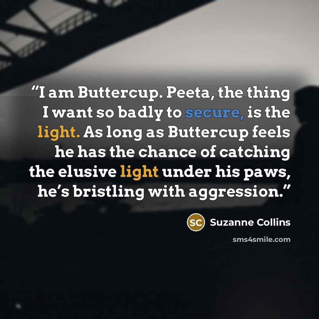 “I am Buttercup. Peeta, the thing I want so badly to secure, is the light. As long as Buttercup feels he has the chance of catching the elusive light under his paws, he’s bristling with aggression.” quote by Suzanne Collins
