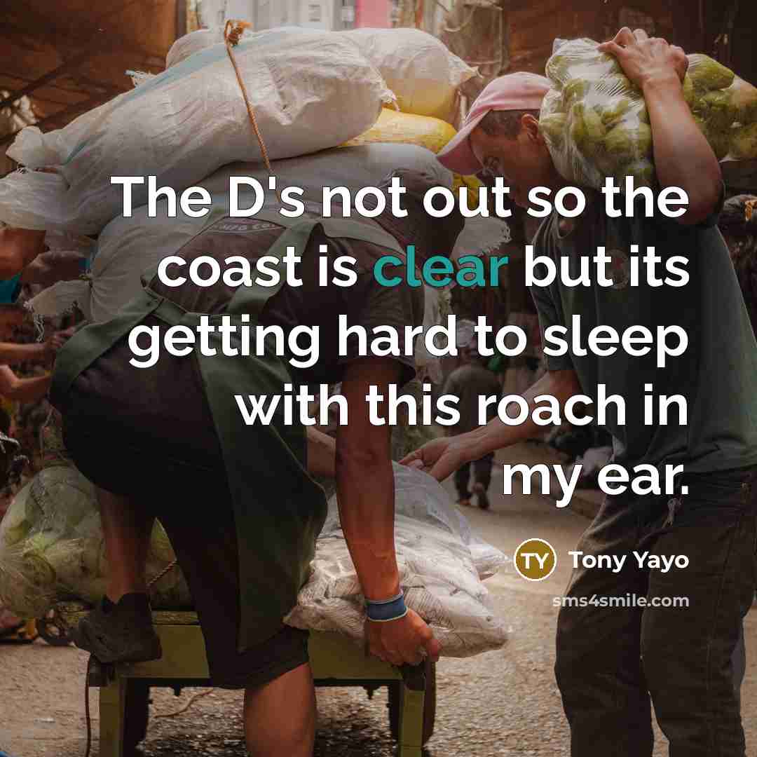 “The D's not out so the coast is clear but its getting hard to sleep with this roach in my ear.” quote by Tony Yayo