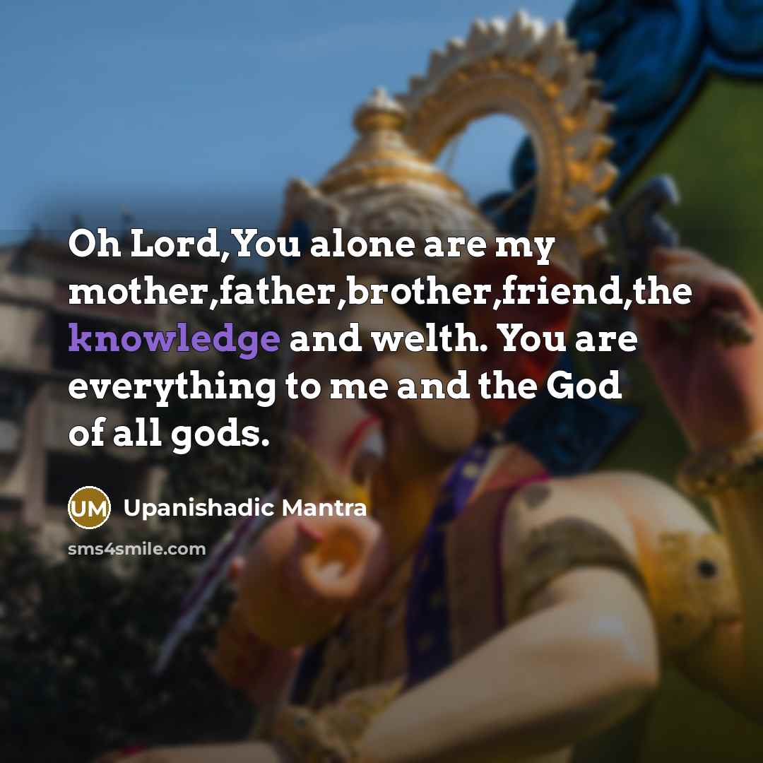 “Oh Lord,You alone are my mother,father,brother,friend,the knowledge and welth. You are everything to me and the God of all gods.” quote by Upanishadic Mantra