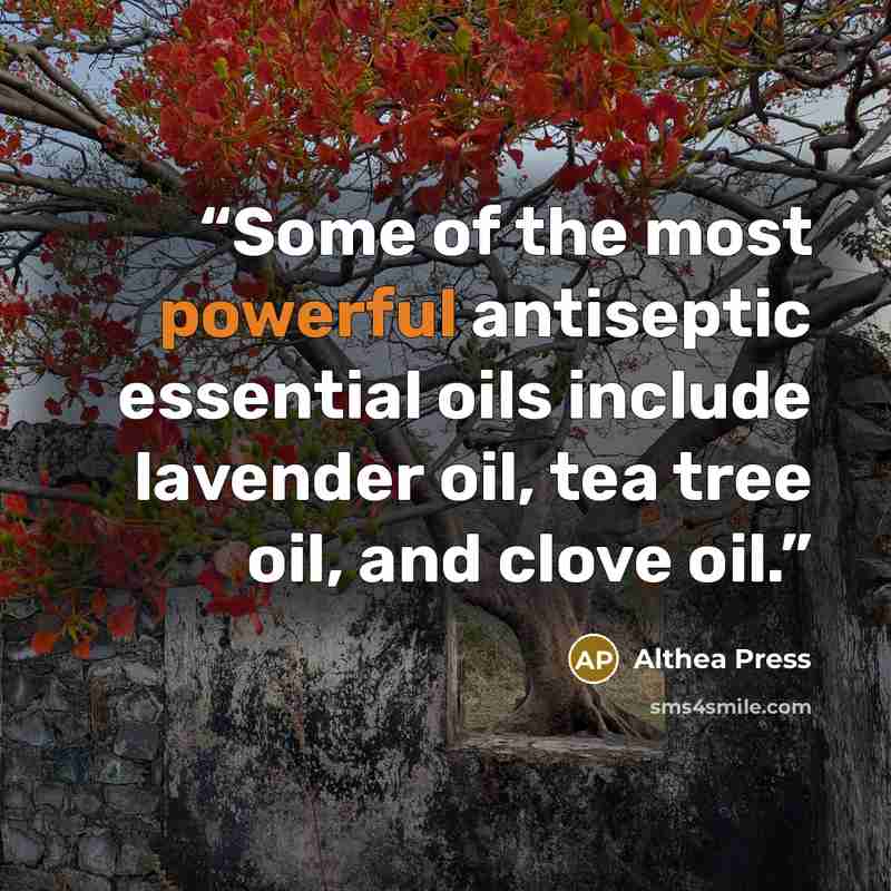 “Some of the most powerful antiseptic essential oils include lavender oil, tea tree oil, and clove oil.” quote by Althea Press