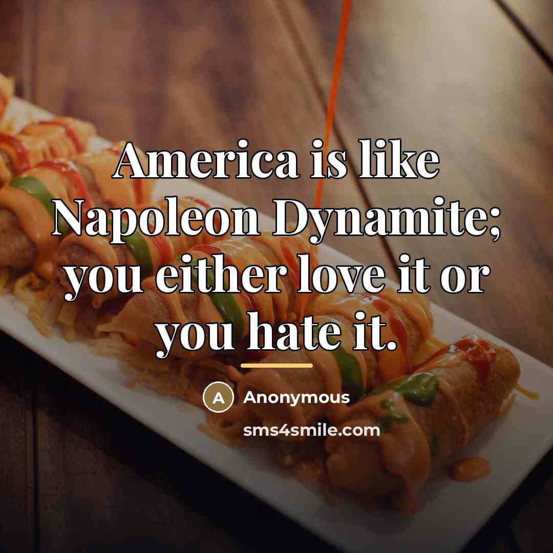 “America is like Napoleon Dynamite; you either love it or…” quote by Anonymous