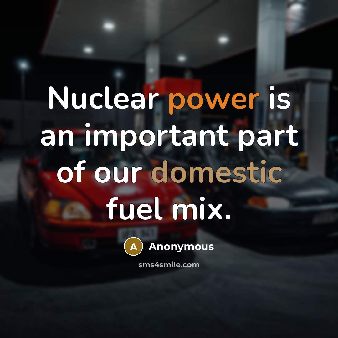 “Nuclear power is an important part of our domestic fuel mix.” quote by Anonymous