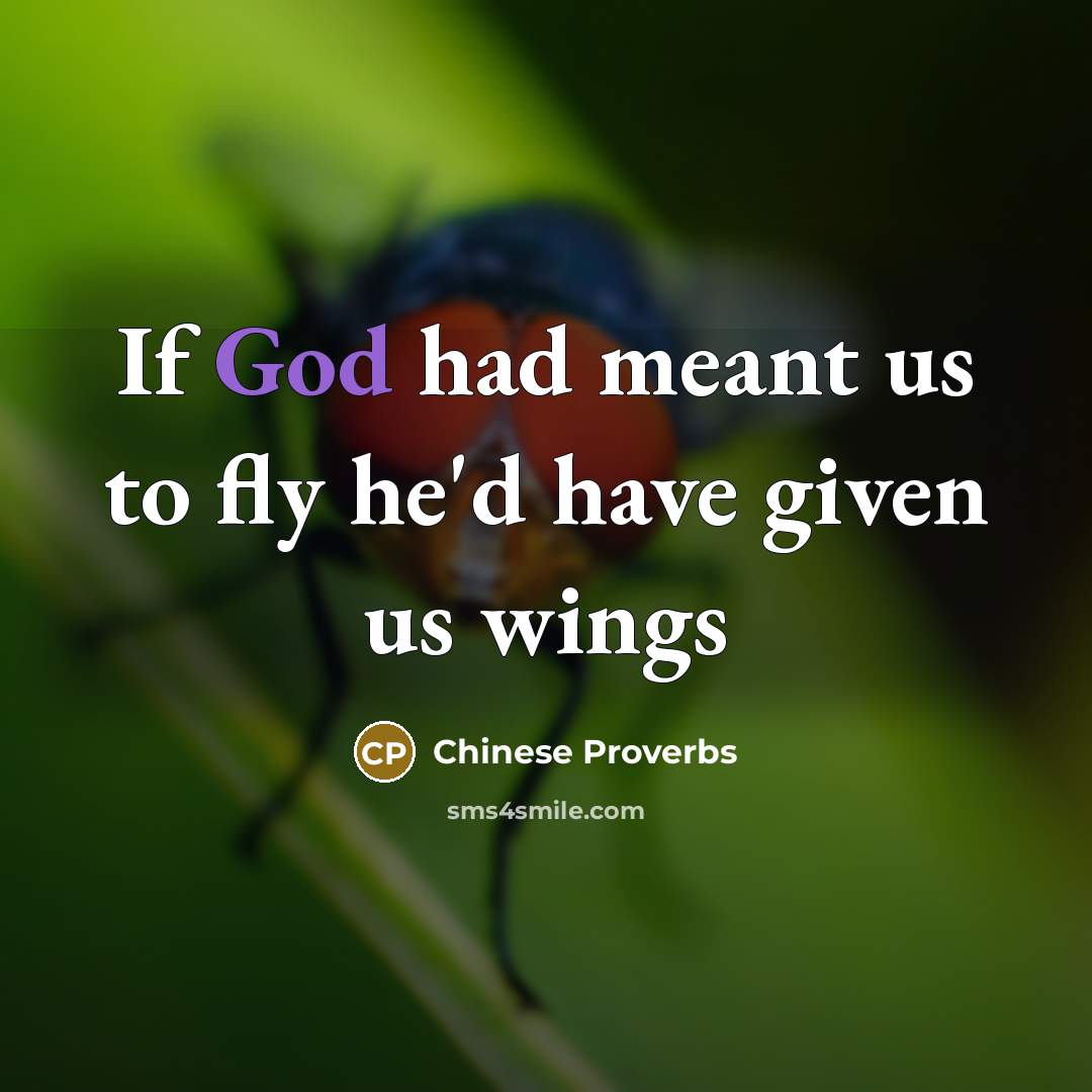 “If God had meant us to fly he'd have given…” quote by Chinese Proverbs