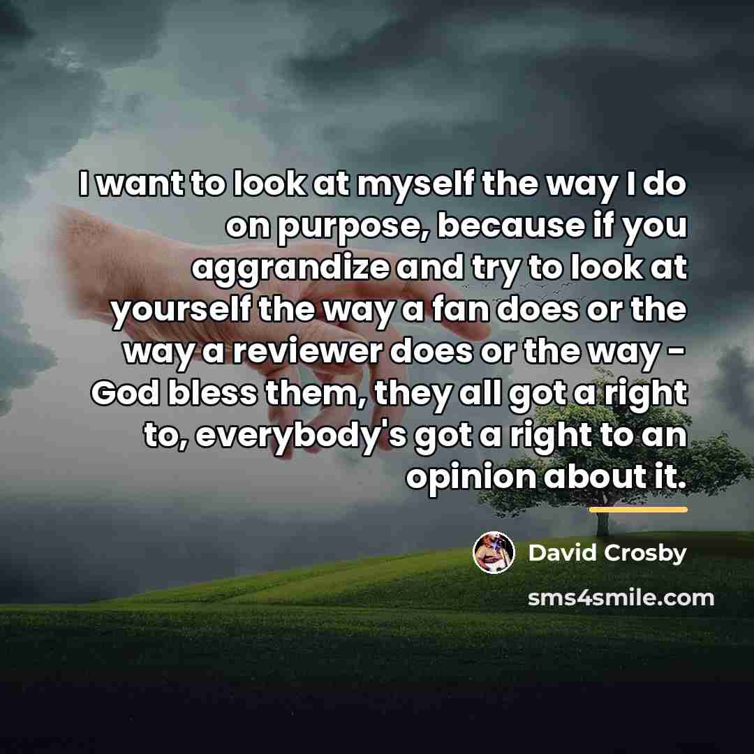 “I want to look at myself the way I do…” quote by David Crosby