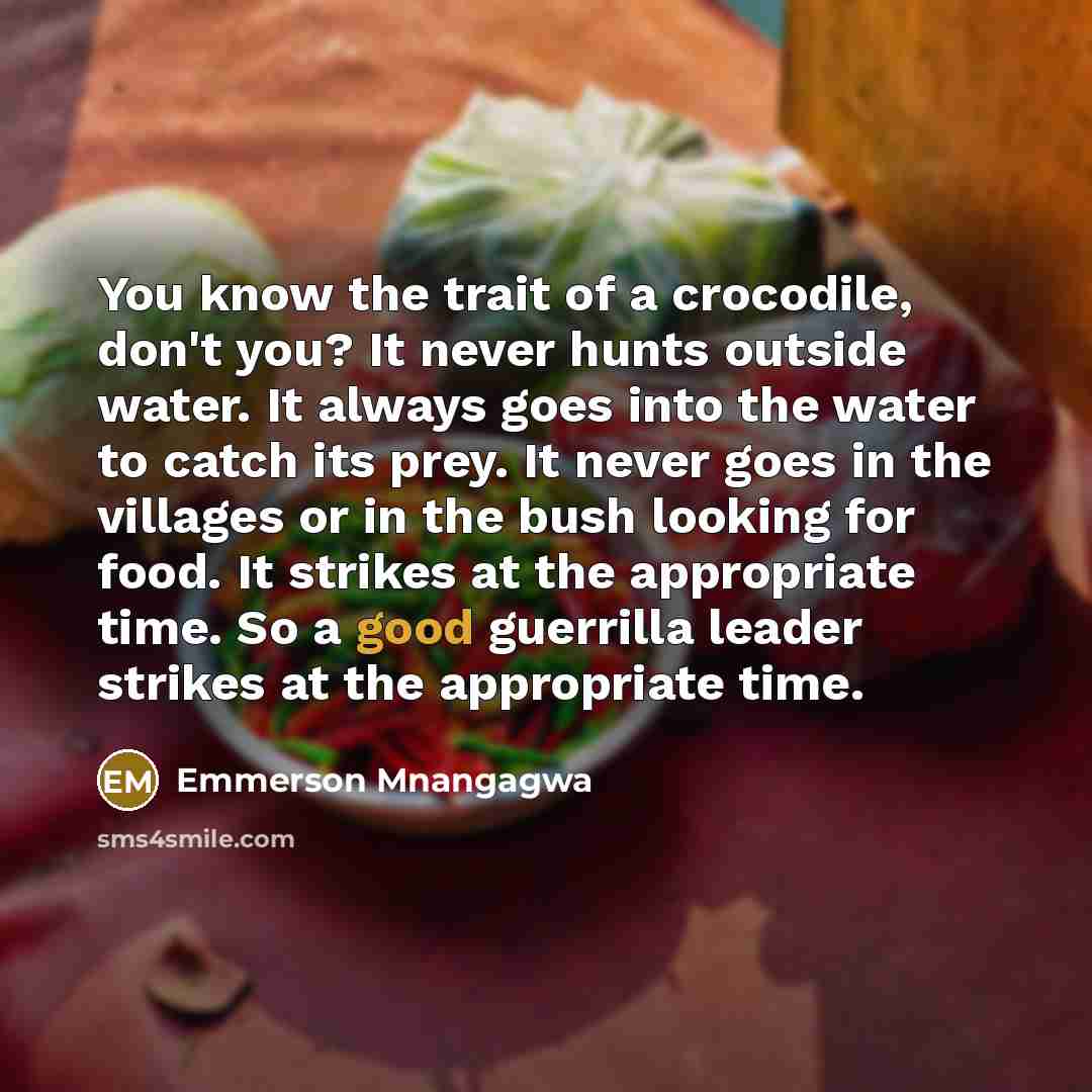 “You know the trait of a crocodile, don't you? It never hunts outside water. It always goes into the water to catch its prey. It never goes in the villages or in the bush looking for food. It strikes at the appropriate time. So a good guerrilla leader strikes at the appropriate time.” quote by Emmerson Mnangagwa
