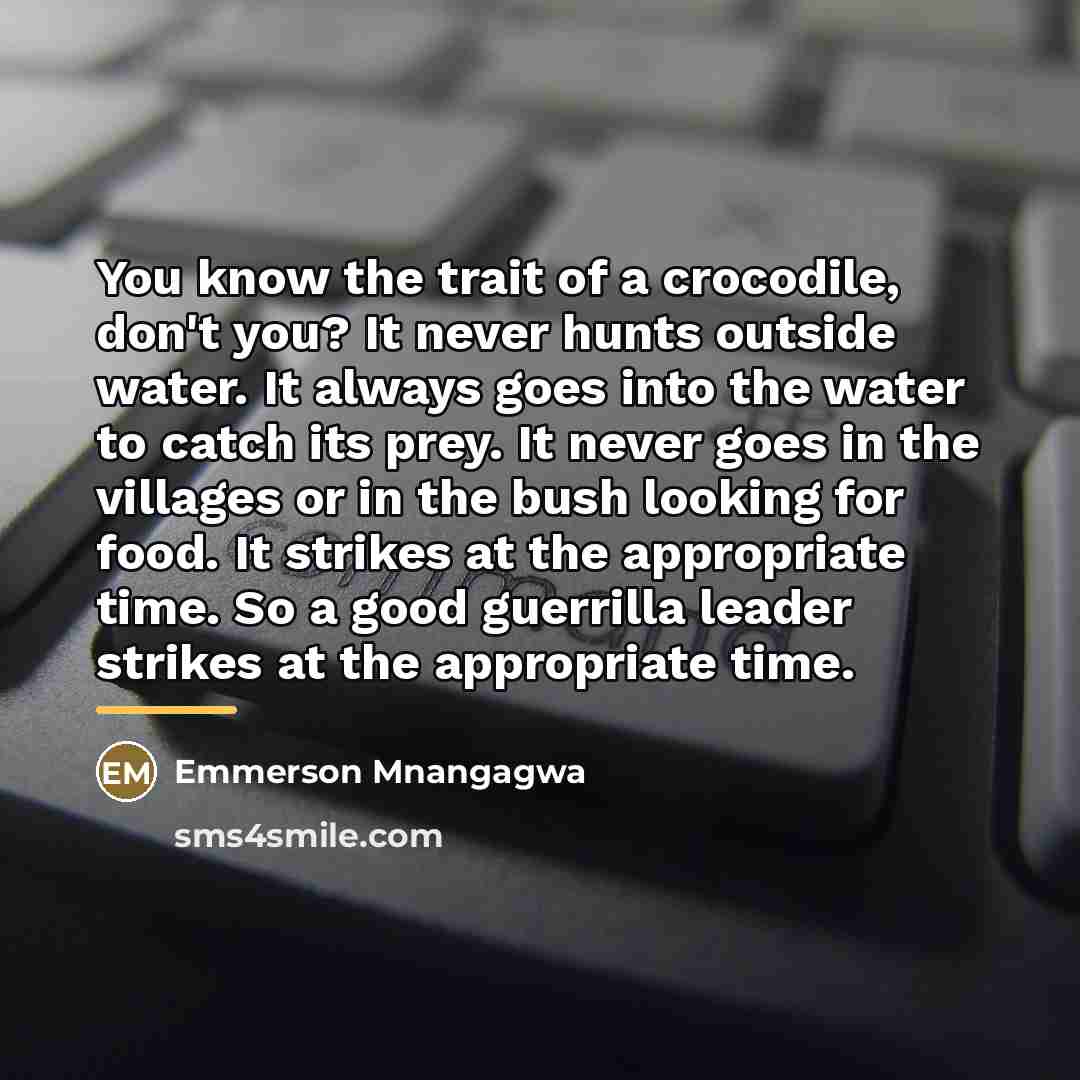 “You know the trait of a crocodile, don't you? It…” quote by Emmerson Mnangagwa