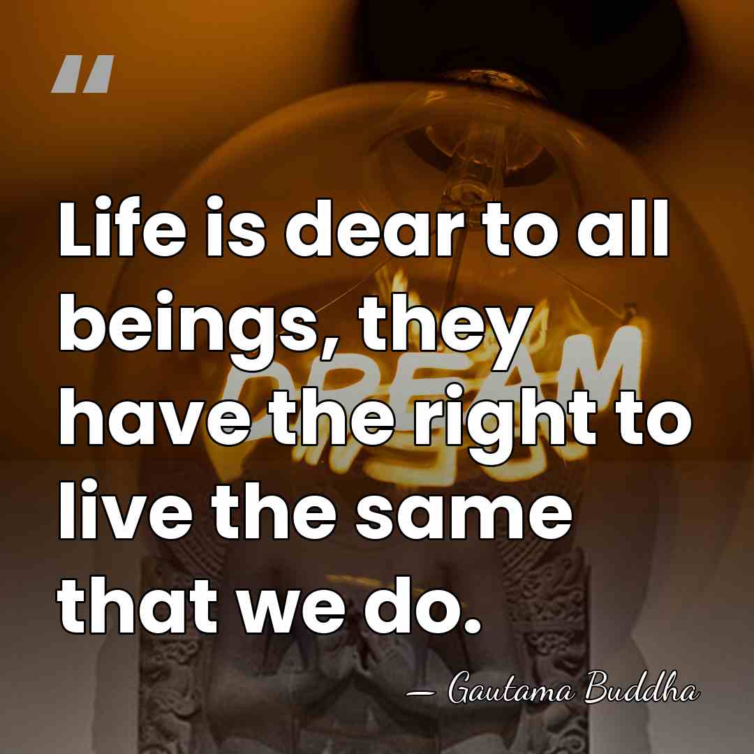 Life is dear to all beings, they have the right to live&hellip; - Gautama Buddha