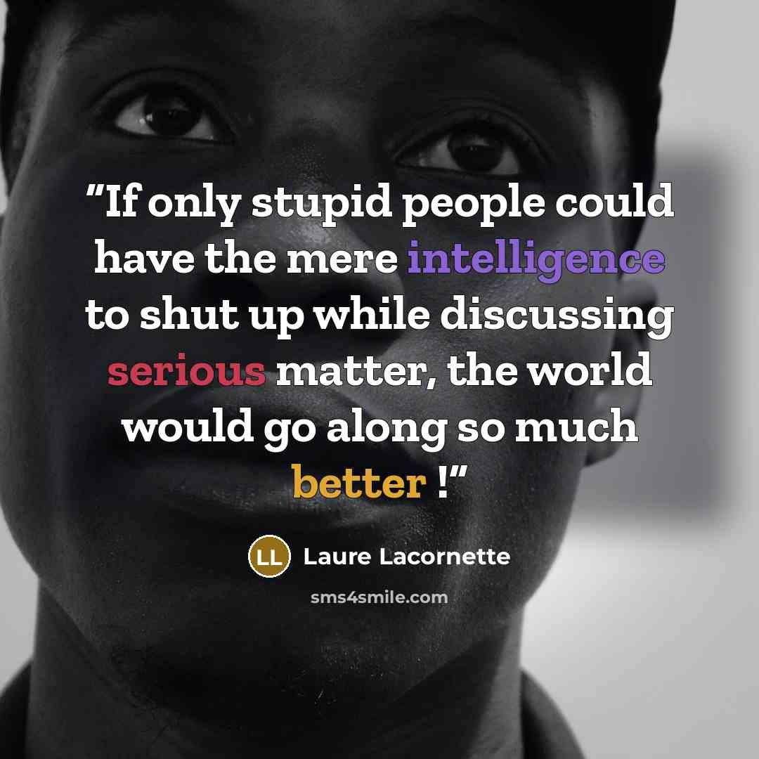 “If only stupid people could have the mere intelligence to shut up while discussing serious matter, the world would go along so much better !” quote by Laure Lacornette