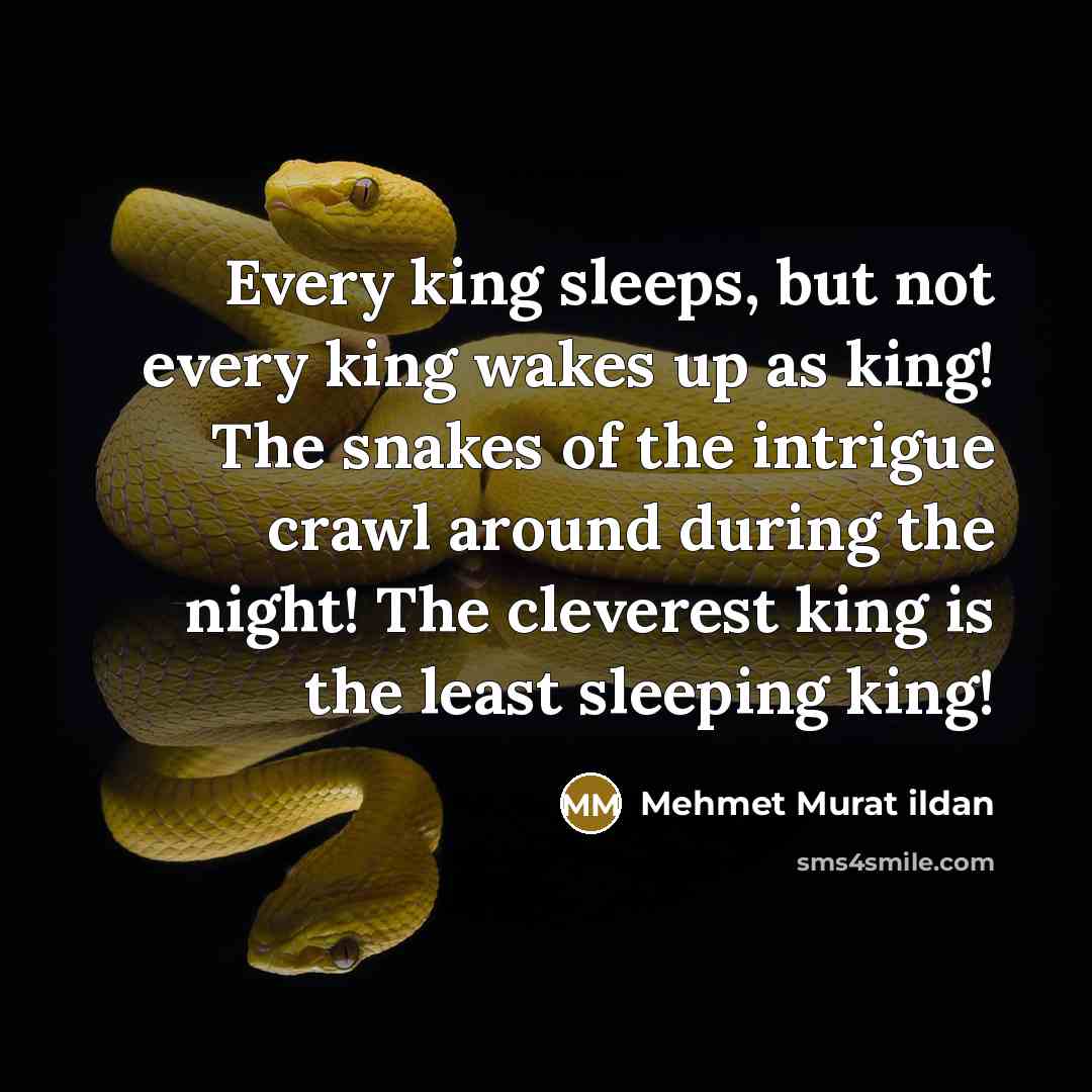 “Every king sleeps, but not every king wakes up as…” quote by Mehmet Murat Ildan
