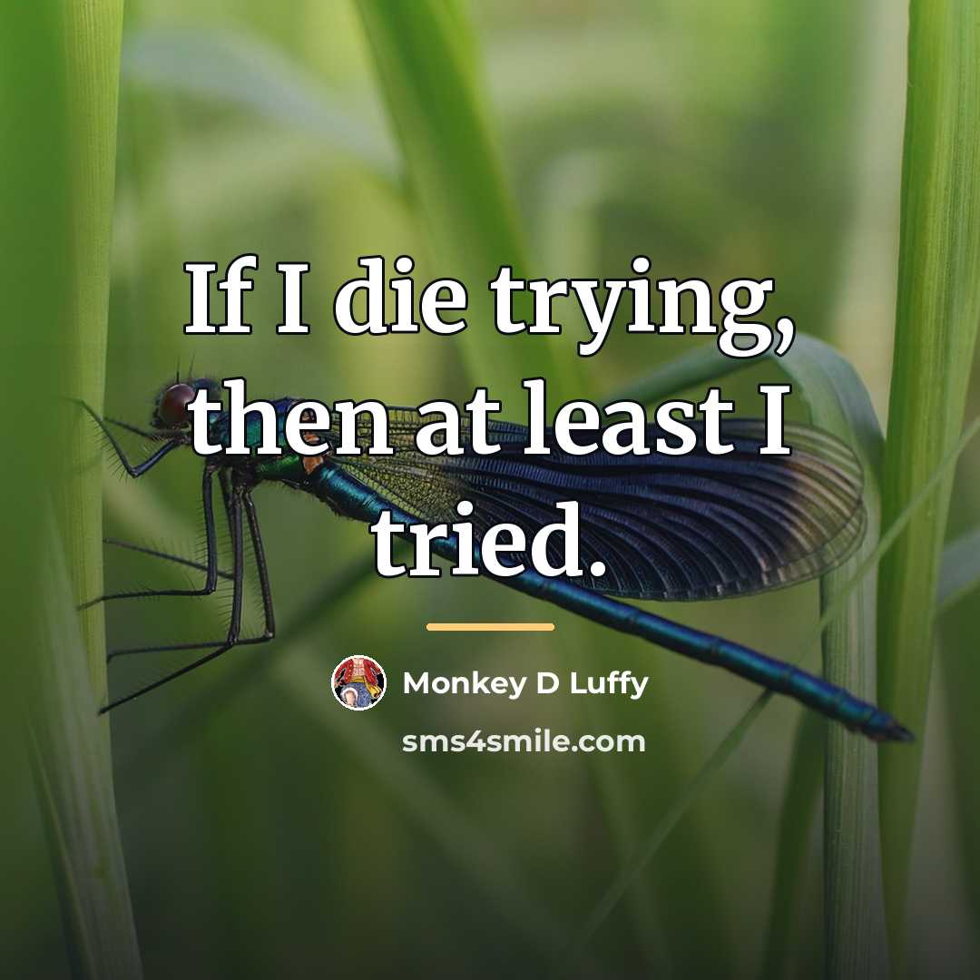 “If I die trying, then at least I tried.…” quote by Monkey D Luffy