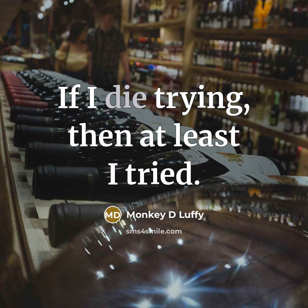 “If I die trying, then at least I tried.” quote by Monkey D Luffy