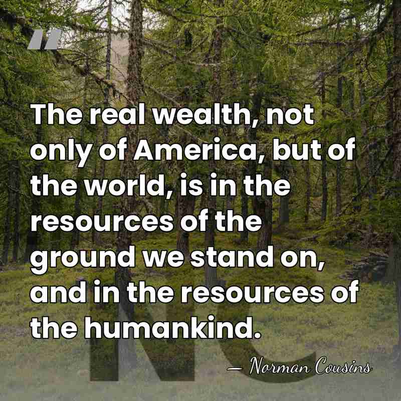 The real wealth, not only of America, but of the world, is&hellip; - Norman Cousins