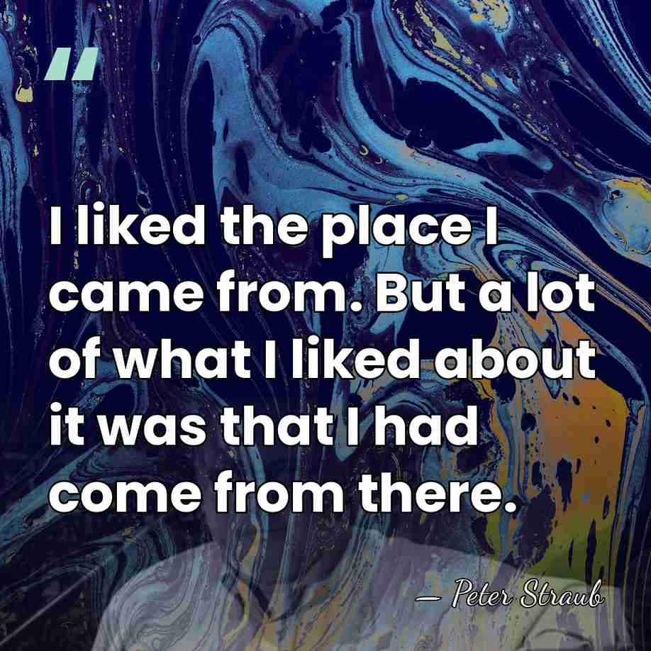 I liked the place I came from. But a lot of what&hellip; - Peter Straub