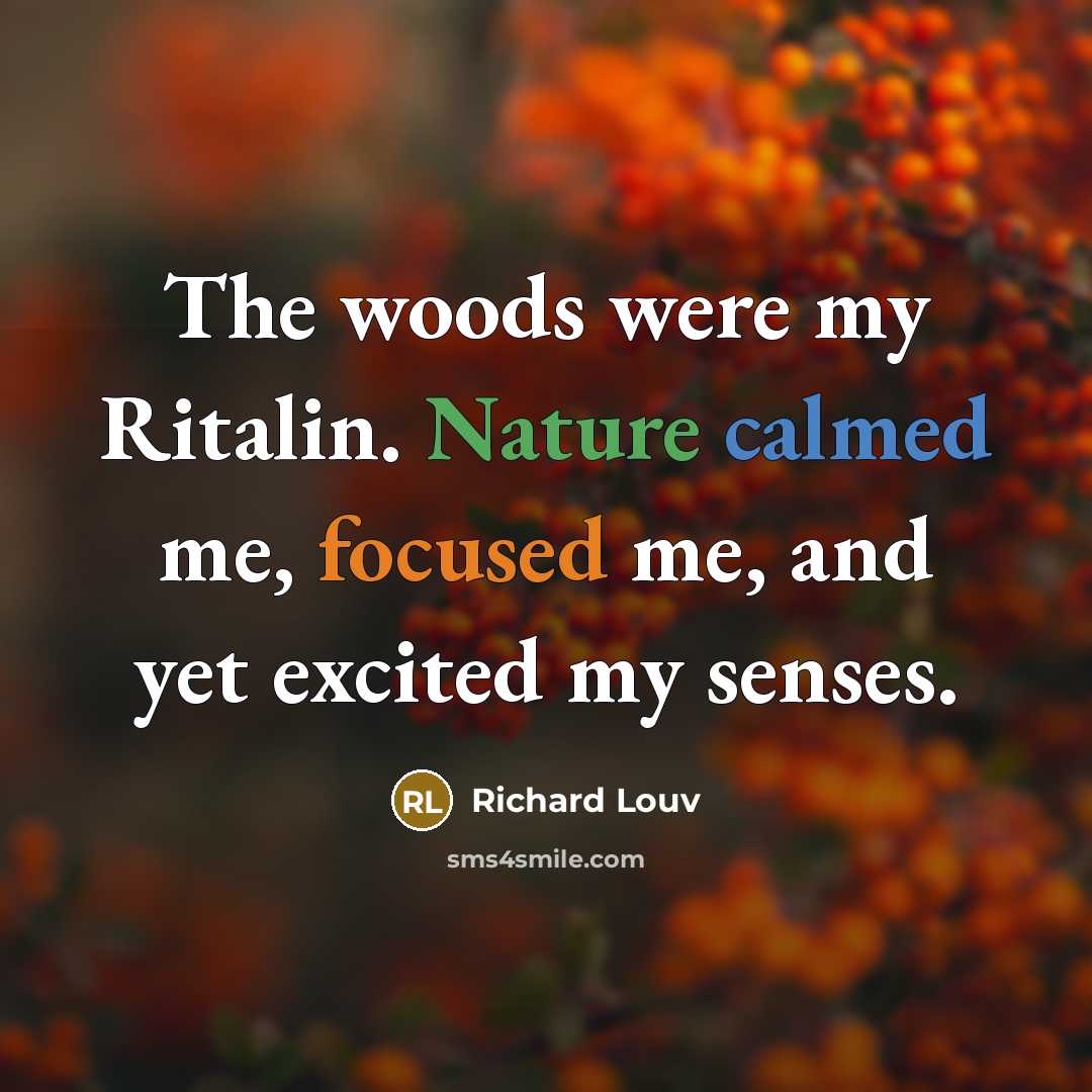 “The woods were my Ritalin. Nature calmed me, focused me,…” quote by Richard Louv
