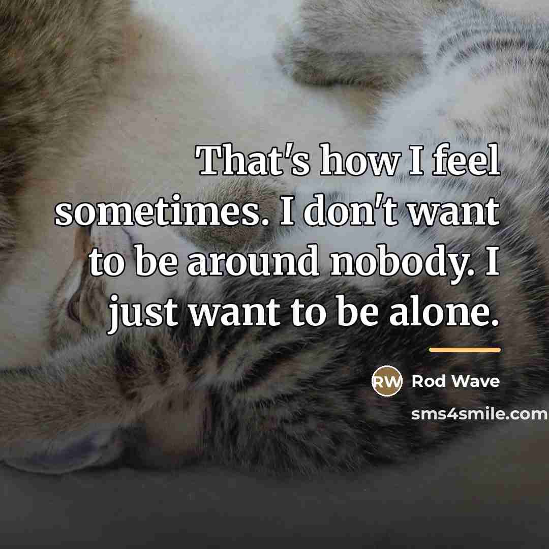“That's how I feel sometimes. I don't want to be…” quote by Rod Wave