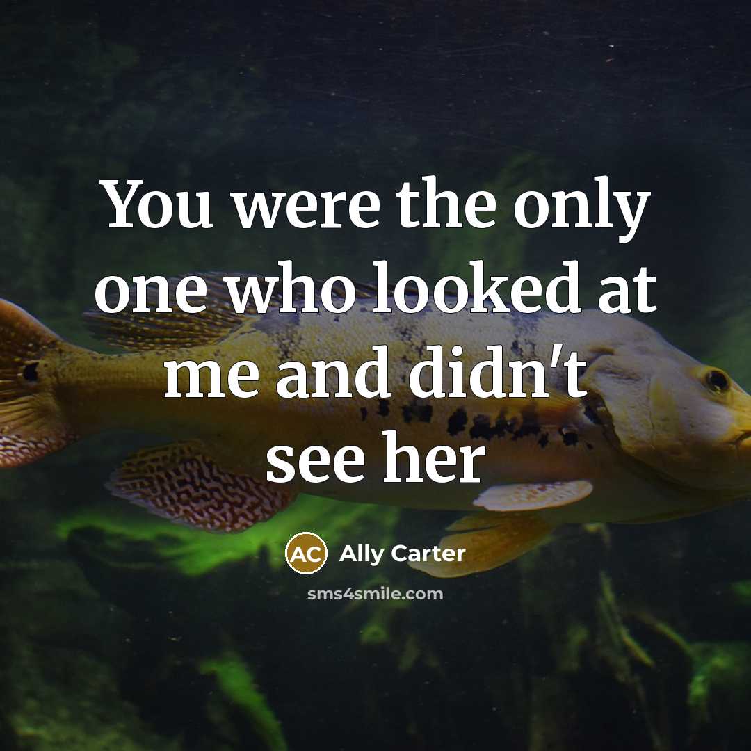 “You were the only one who looked at me and…” quote by Ally Carter