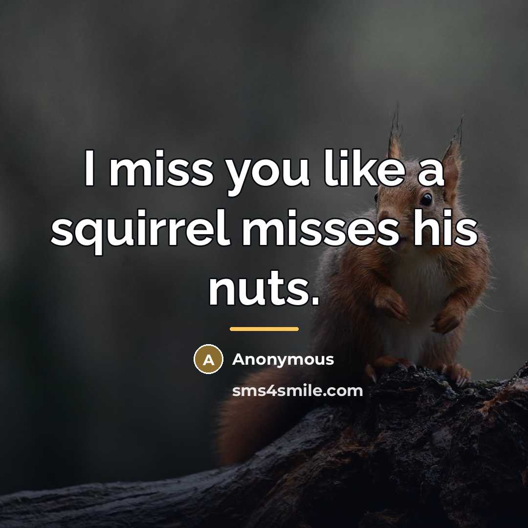 “I miss you like a squirrel misses his nuts.…” quote by Anonymous