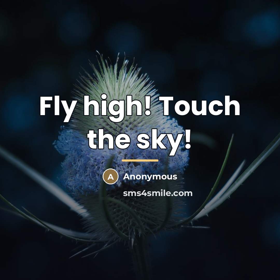 “Fly high! Touch the sky!…” quote by Anonymous