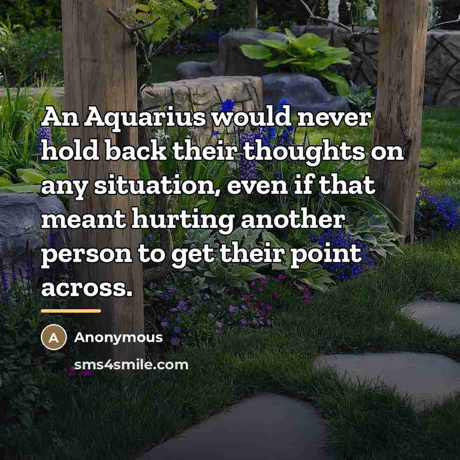 “An Aquarius would never hold back their thoughts on any…” quote by Anonymous