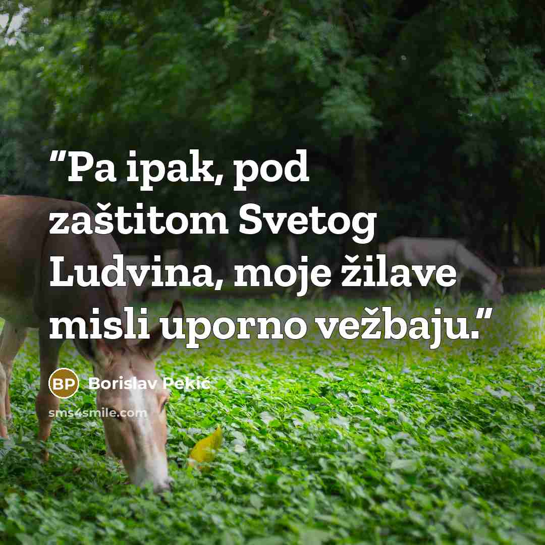 “Pa ipak, pod zaštitom Svetog Ludvina, moje žilave misli uporno vežbaju.” quote by Borislav Pekić