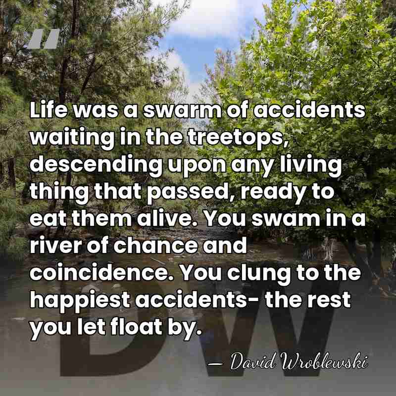 Life was a swarm of accidents waiting in the treetops, descending upon&hellip; - David Wroblewski