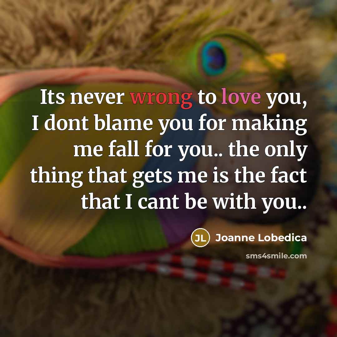 “Its never wrong to love you, I dont blame you…” quote by Joanne Lobedica
