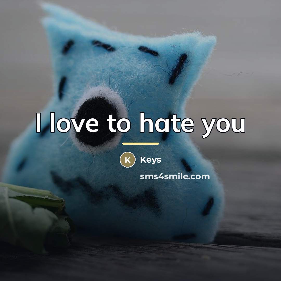 “I love to hate you…” quote by Keys