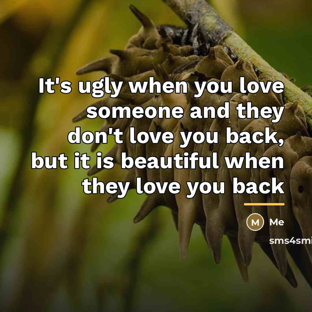“It's ugly when you love someone and they don't love…” quote by Me