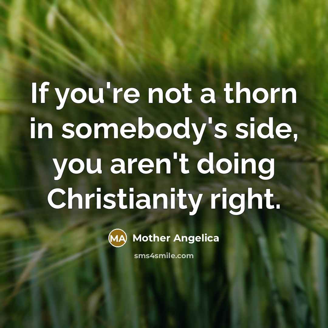 “If you're not a thorn in somebody's side, you aren't…” quote by Mother Angelica