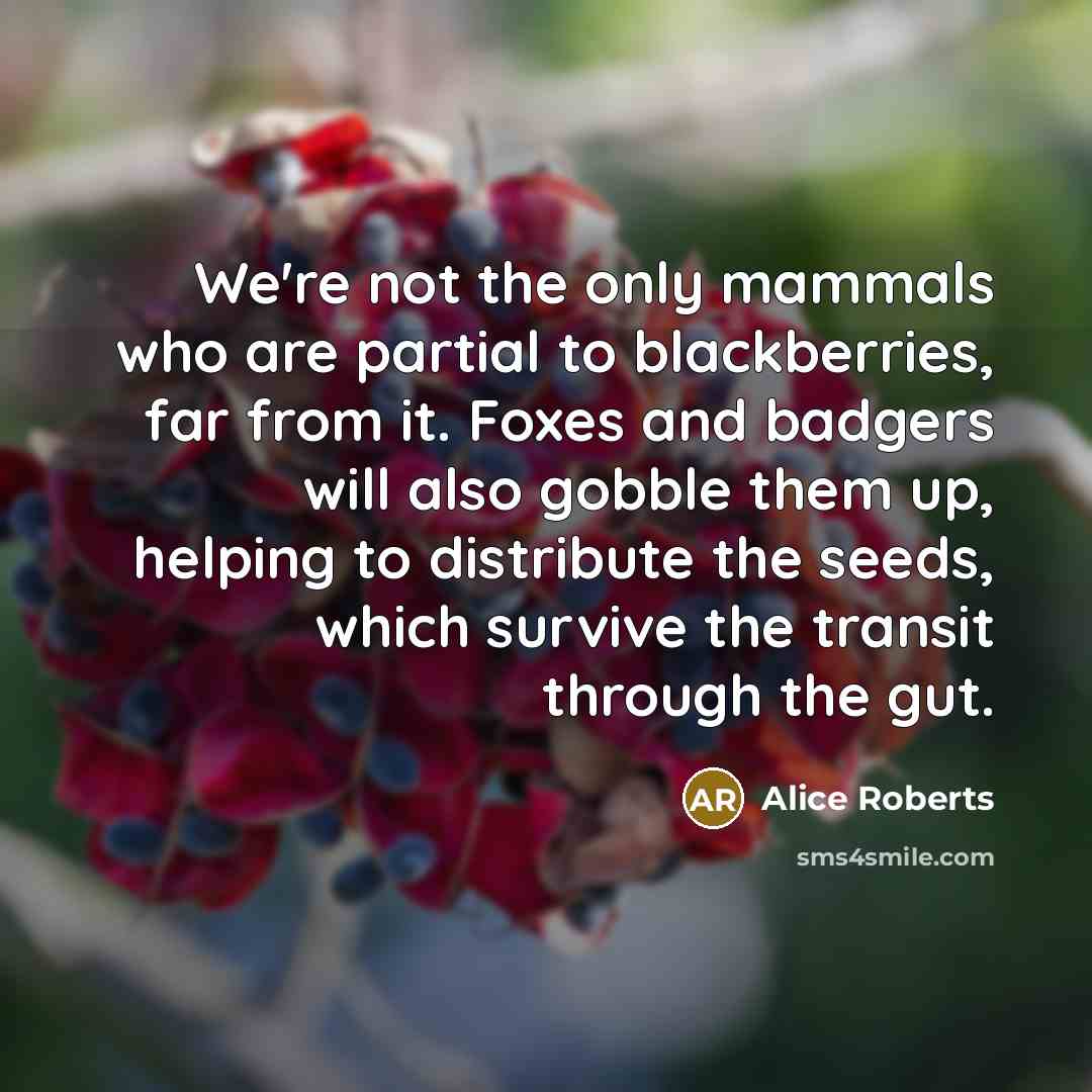 “We're not the only mammals who are partial to blackberries,…” quote by Alice Roberts