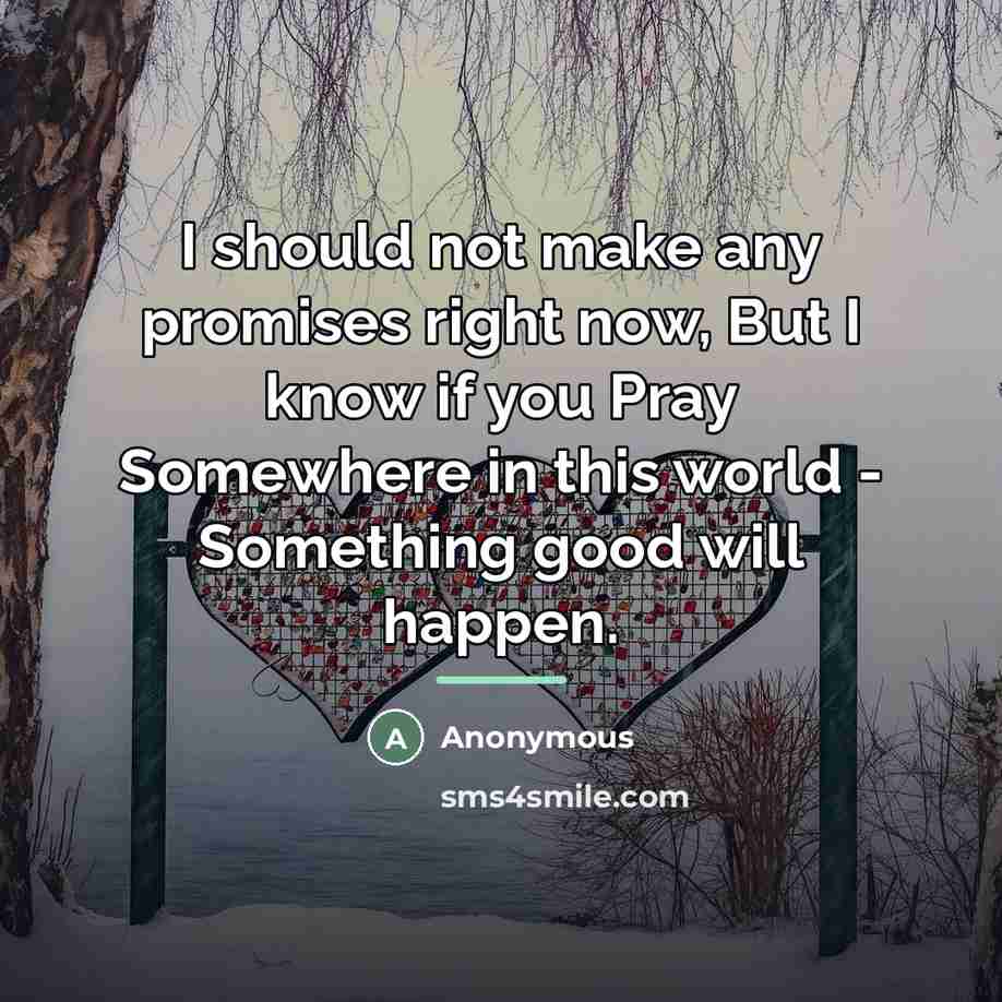 “I should not make any promises right now, But I…” quote by Anonymous