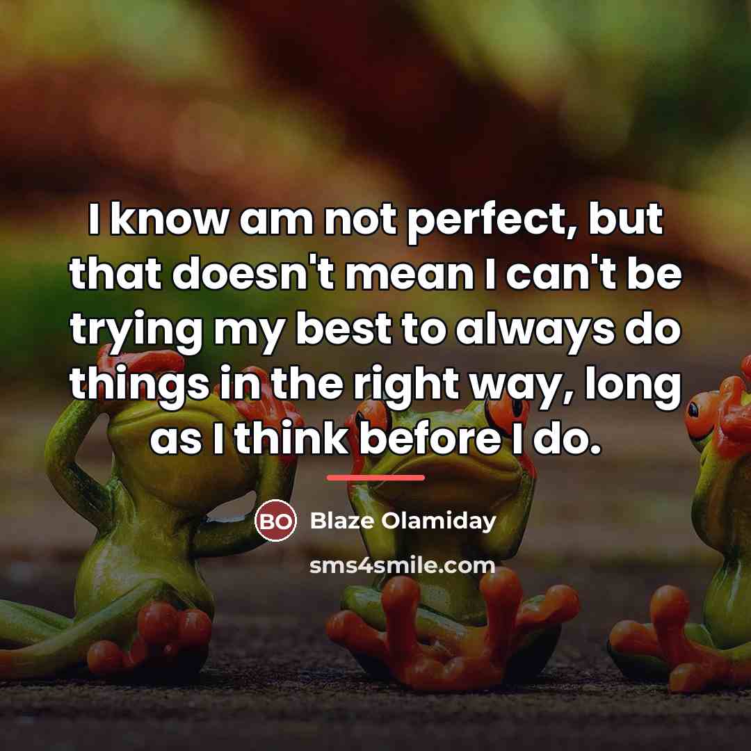 “I know am not perfect, but that doesn't mean I…” quote by Blaze Olamiday