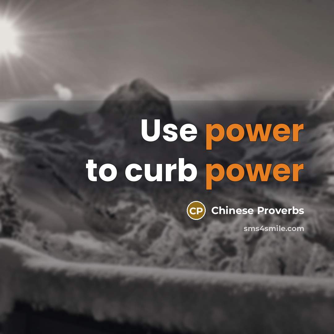 “Use power to curb power” quote by Chinese Proverbs