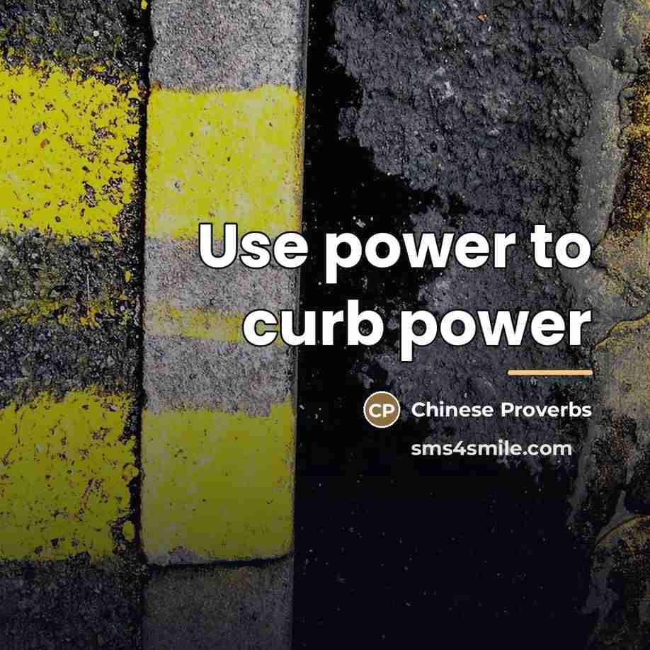 “Use power to curb power…” quote by Chinese Proverbs