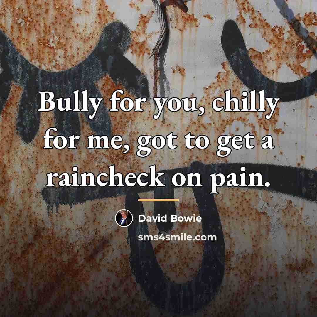 “Bully for you, chilly for me, got to get a…” quote by David Bowie