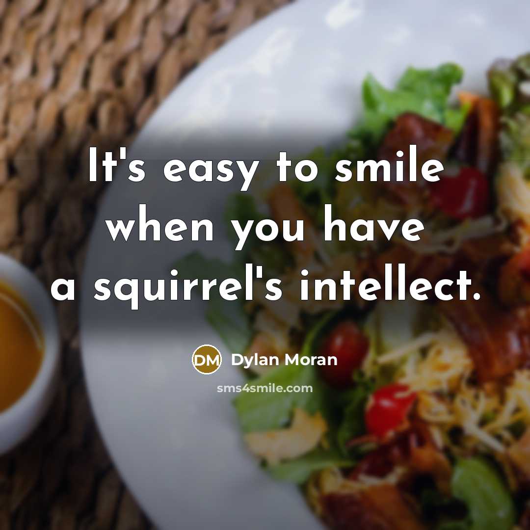 “It's easy to smile when you have a squirrel's intellect.…” quote by Dylan Moran