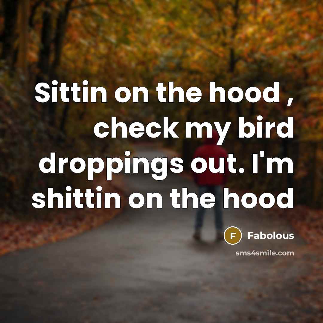 “Sittin on the hood , check my bird droppings out.…” quote by Fabolous