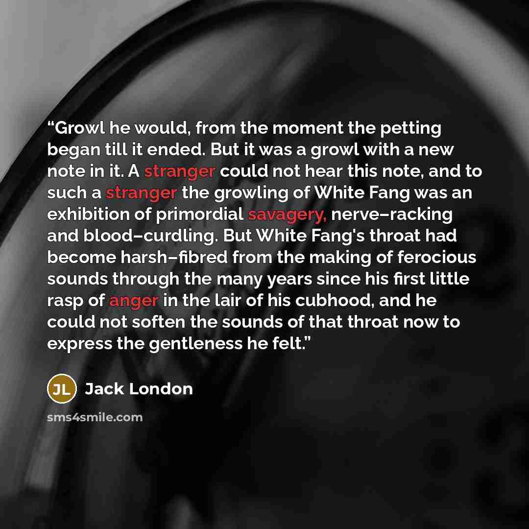 “Growl he would, from the moment the petting began till it ended. But it was a growl with a new note in it. A stranger could not hear this note, and to such a stranger the growling of White Fang was an exhibition of primordial savagery, nerve–racking and blood–curdling. But White Fang's throat had…” quote by Jack London