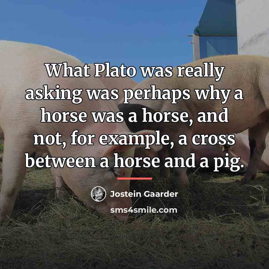 “What Plato was really asking was perhaps why a horse…” quote by Jostein Gaarder