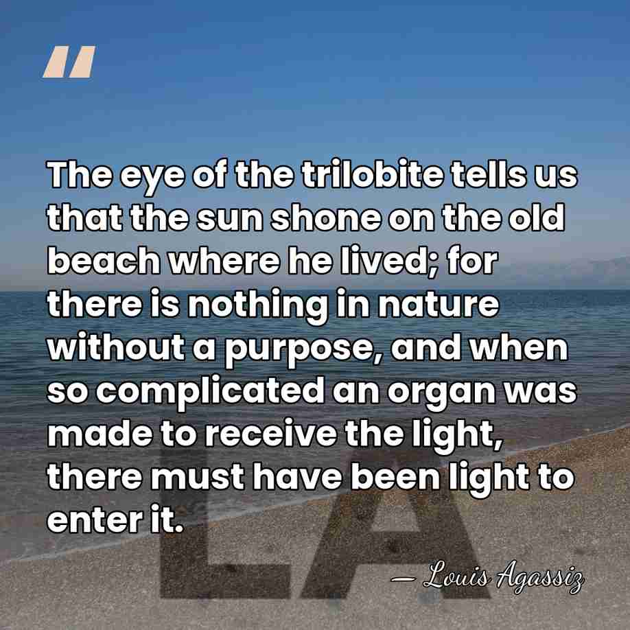 The eye of the trilobite tells us that the sun shone on&hellip; - Louis Agassiz