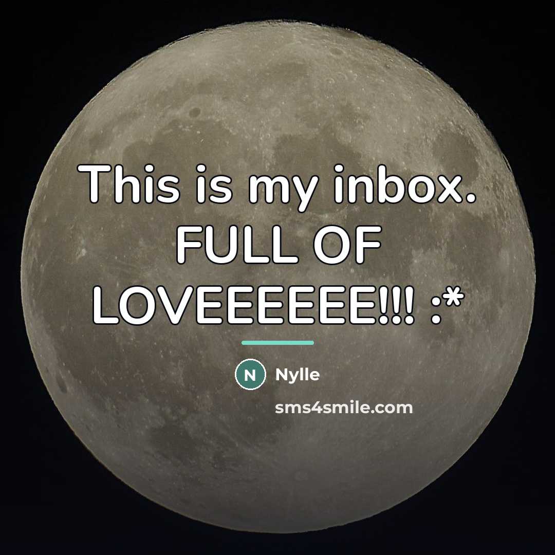 “This is my inbox. FULL OF LOVEEEEEE!!! :*…” quote by Nylle