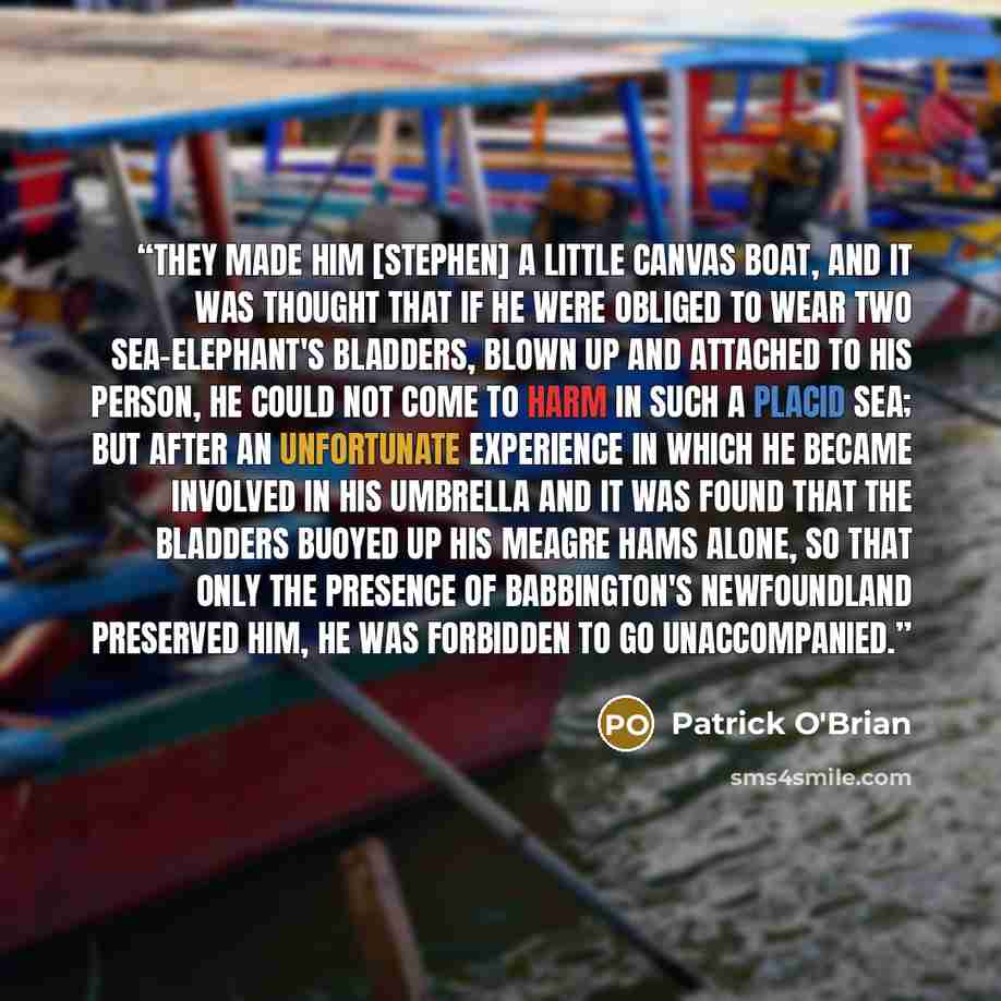 “They made him [Stephen] a little canvas boat, and it was thought that if he were obliged to wear two sea-elephant's bladders, blown up and attached to his person, he could not come to harm in such a placid sea; but after an unfortunate experience in which he became involved in his umbrella and it…” quote by Patrick O'Brian