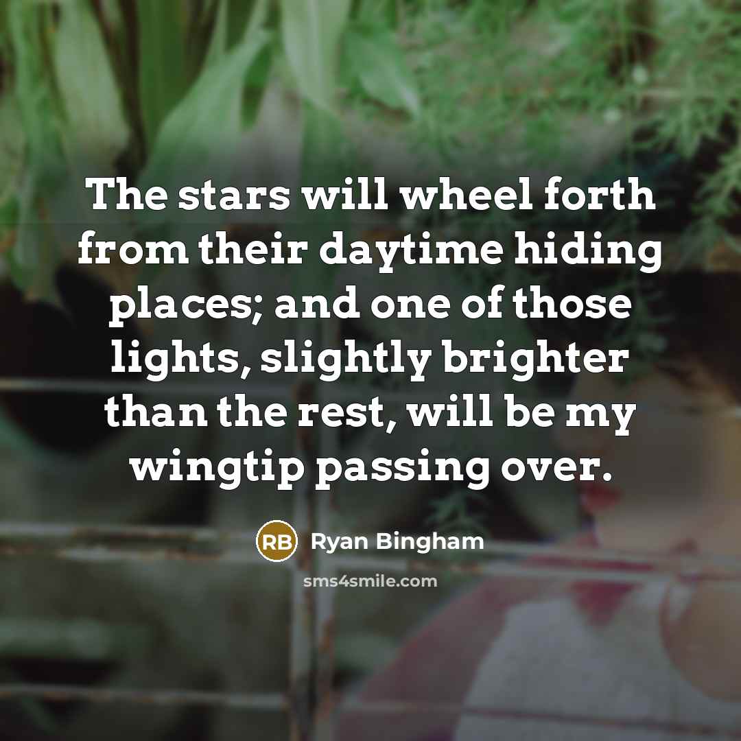 “The stars will wheel forth from their daytime hiding places;…” quote by Ryan Bingham
